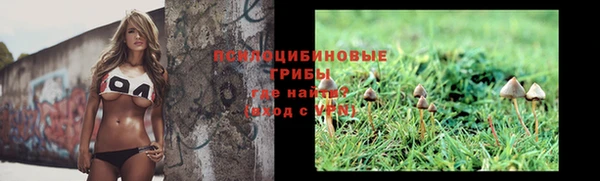 дживик Баксан