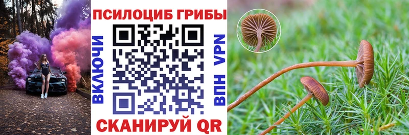 Псилоцибиновые грибы Psilocybine cubensis Ликино-Дулёво